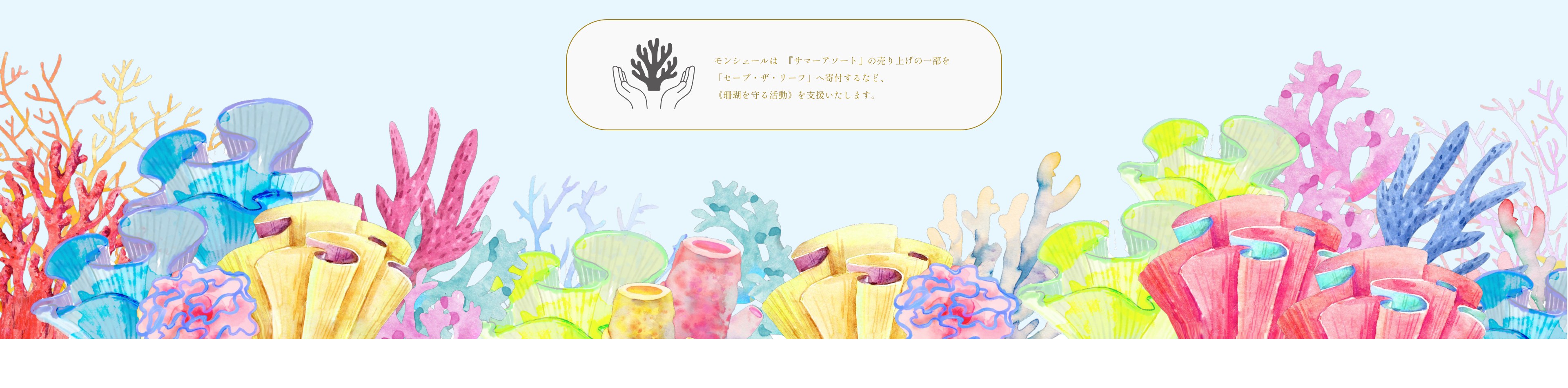 モンシェールは『サマーアソート』の売り上げの一部を「セーブ・ザ・リーフ」へ寄付するなど、《珊瑚を守る活動》を支援いたします。