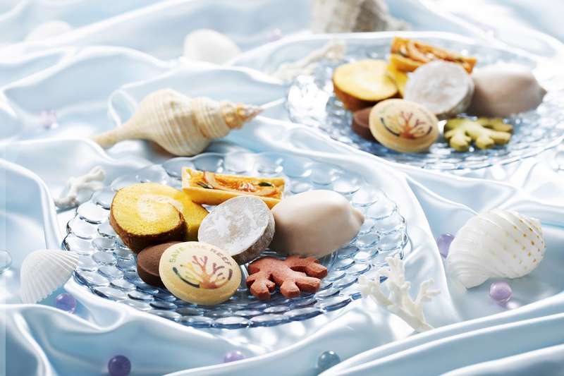 サマーアソート商品写真