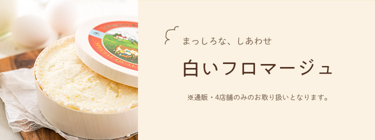 白いフロマージュ　フランス産クリームチーズと「堂島ロール」のクリームが出会い軽やかなチーズケーキに！